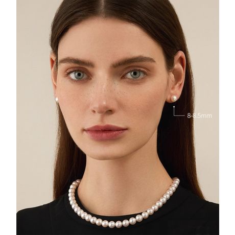 Orecchini A Lobo Ryo - Perle Akoya Bianche 8/8.5mm GEMMA - Oro Giallo