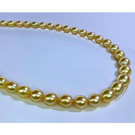 Collana di perle australiane - 9/12mm - AA+